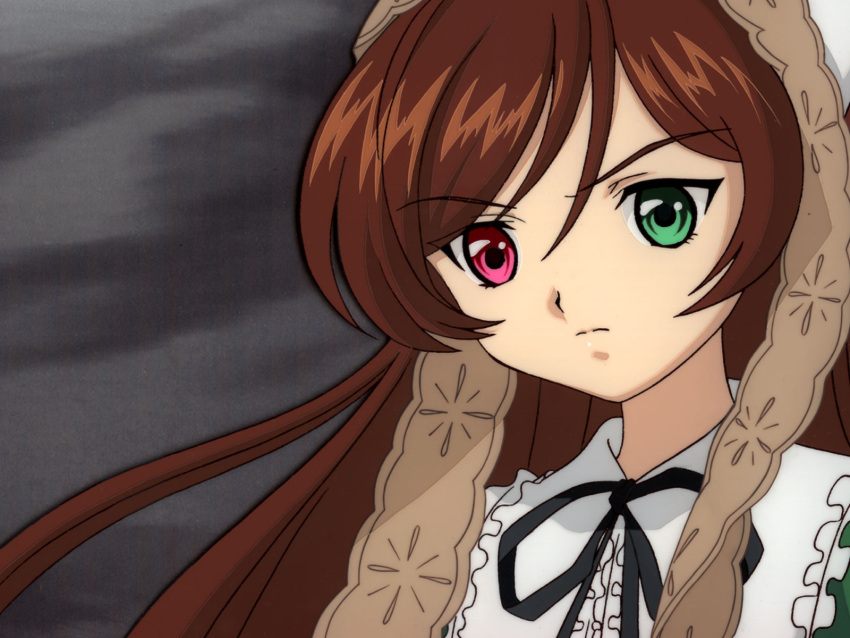 brown_hair heterochromia long_hair rozen_maiden solo suiseiseki tagme