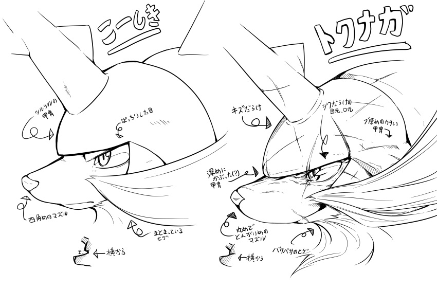 absurdres animal_focus arrow_(symbol) closed_mouth commentary_request from_side furrowed_brow greyscale highres hisuian_samurott monochrome multiple_views no_humans partial_commentary pokemon pokemon_(creature) profile scar scar_across_eye scratches sketch tamanosuke translation_request