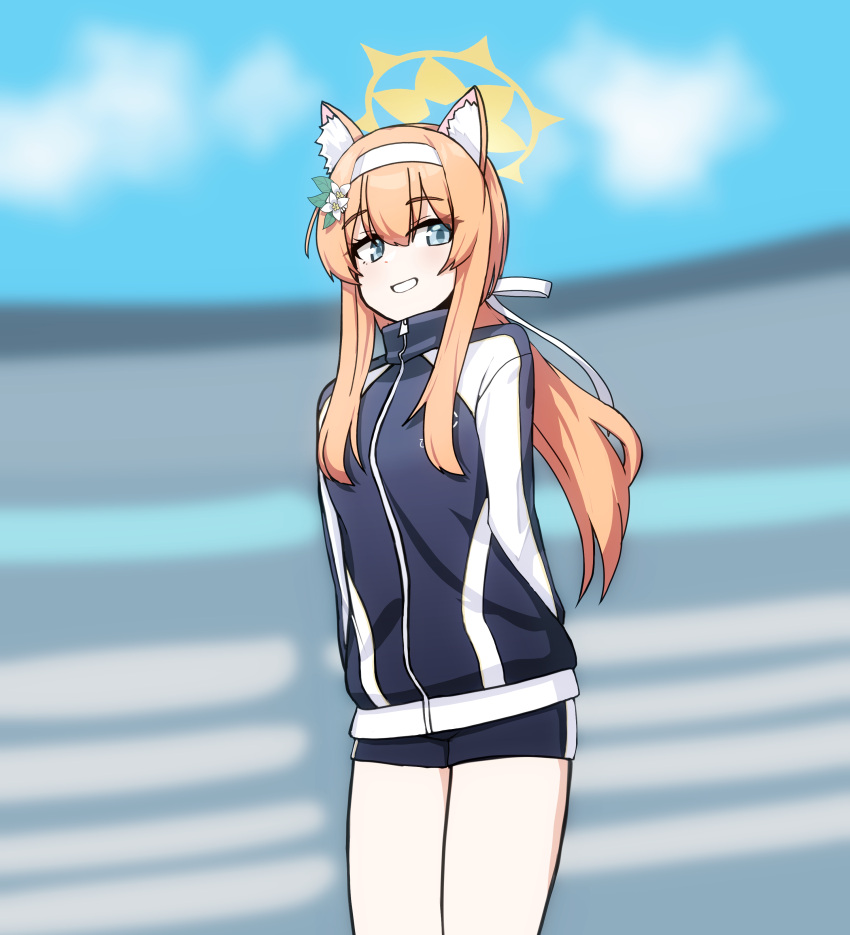 1girl absurdres animal_ears blue_archive blue_eyes flower fox_ears gym_shirt gym_shorts gym_uniform hair_flower hair_ornament hairband halo highres jonasmk looking_at_viewer mari_(blue_archive) mari_(gym_uniform)_(blue_archive) orange_hair ponytail shirt shorts thighs white_hairband