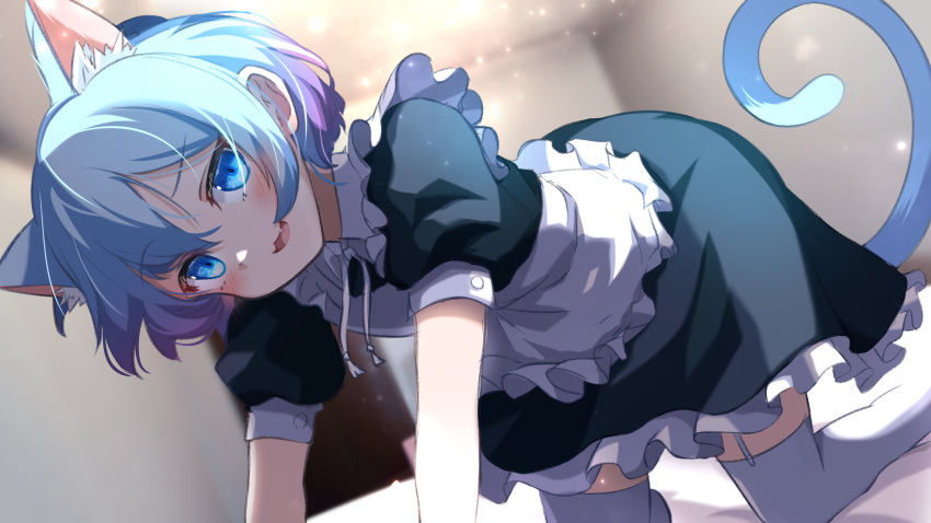 1other :3 :d absurdres all_fours animal_ears apron black_dress blue_eyes blue_hair cat_ears cat_tail character_request copyright_request dress extra_ears fang frilled_dress frills garter_straps gradient_hair highres maid maid_apron multicolored_hair otoko_no_ko puffy_short_sleeves puffy_sleeves purple_hair shiro_1213 short_hair short_sleeves skin_fang smile tail thigh-highs white_thighhighs