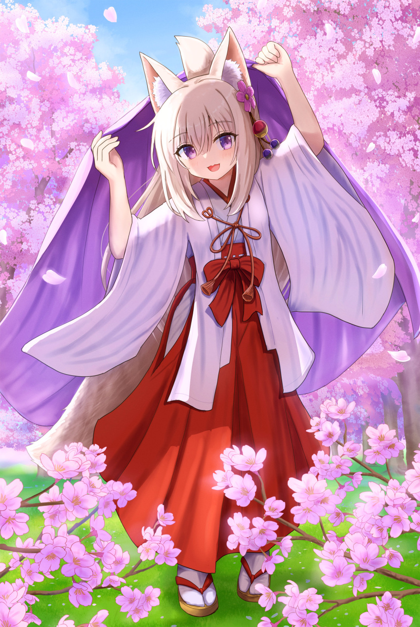 1girl :d absurdres animal_ear_fluff animal_ears arm_up bangs blue_sky brown_footwear brown_hair cherry_blossoms clouds commentary_request day folded_ponytail fox_ears fox_girl fox_tail hair_between_eyes hakama hakama_skirt hand_up highres iroha_(iroha_matsurika) japanese_clothes kimono koyoi_(iroha_(iroha_matsurika)) long_hair looking_at_viewer miko original outdoors petals red_hakama short_sleeves skirt sky smile socks solo standing tabi tail tree violet_eyes white_kimono white_socks wide_sleeves zouri