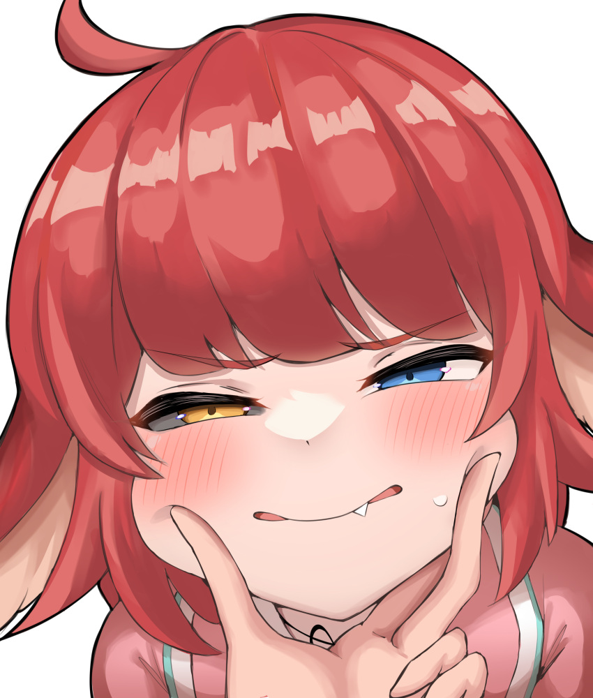 1girl 1other absurdres ahoge animal_ears blue_eyes blush cheek_squash colored_sclera fang grey_sclera hand_on_another's_cheek hand_on_another's_face heterochromia highres kaling kel_(pixiv77786190) looking_at_viewer maplestory mismatched_sclera redhead short_hair simple_background solo_focus squinting white_background yellow_eyes