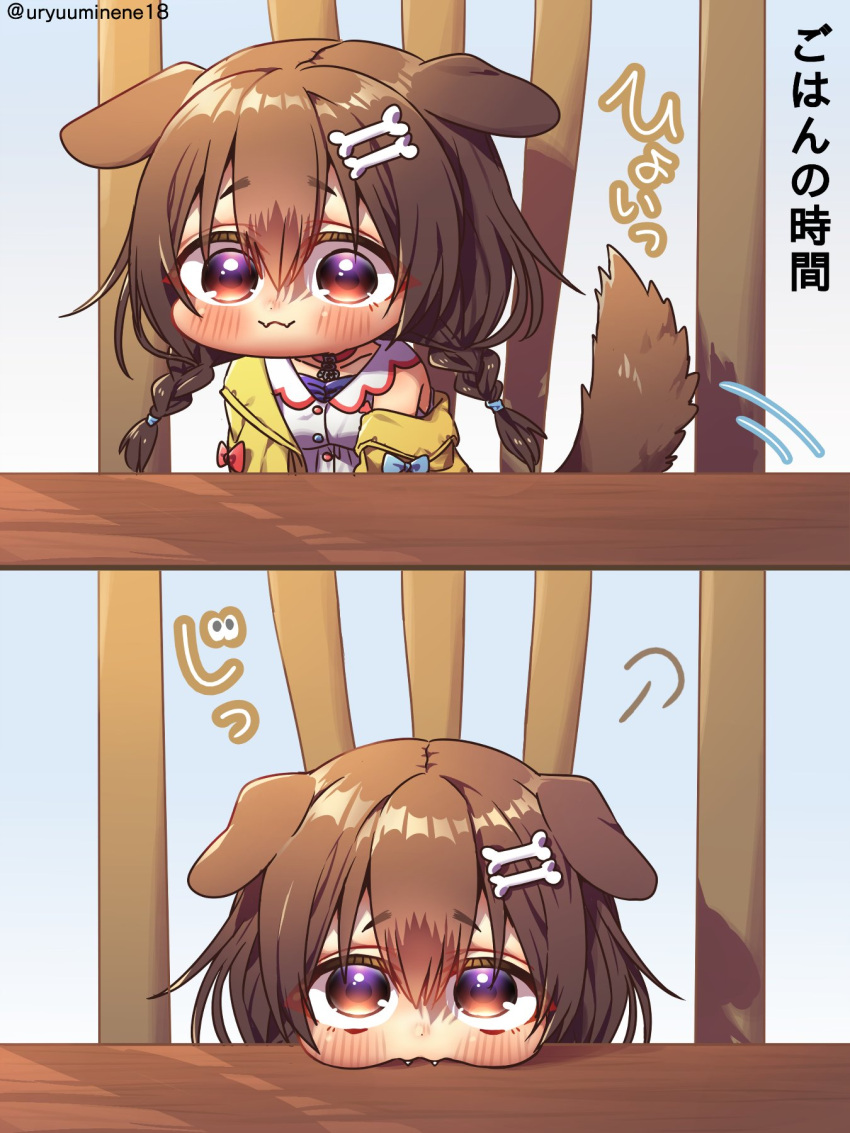 1girl :3 animal_ears artist_name bone_hair_ornament braid brown_eyes brown_hair chibi closed_mouth collar dog_ears dog_girl dog_tail dot_nose fangs hair_between_eyes hair_ornament harumina_mau highres hololive indoors inugami_korone jacket long_hair looking_at_viewer off_shoulder pout puffy_cheeks smile solo tail tail_wagging translation_request twin_braids virtual_youtuber yellow_jacket