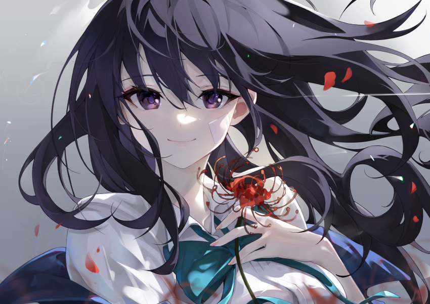 1girl a_yue absurdres black_hair blurry bow bowtie closed_mouth collared_shirt commentary depth_of_field falling_petals fingernails floating_hair flower gauze green_bow green_bowtie hair_between_eyes highres holding holding_flower inoue_takina long_hair looking_at_viewer lycoris_recoil nail_polish petals pink_nails shirt simple_background smile solo spider_lily upper_body violet_eyes white_shirt
