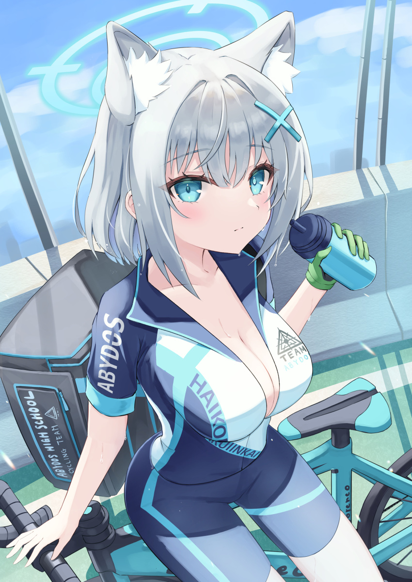 1girl absurdres animal_ears bike_jersey bike_shorts blue_archive blue_eyes bottle breasts gloves green_gloves grey_hair hair_ornament hairpin heterochromia highres hitsuji_(myn_mei) holding holding_bottle large_breasts looking_at_viewer shiroko_(blue_archive) shiroko_(cycling)_(blue_archive) solo sweat thighs wolf_ears