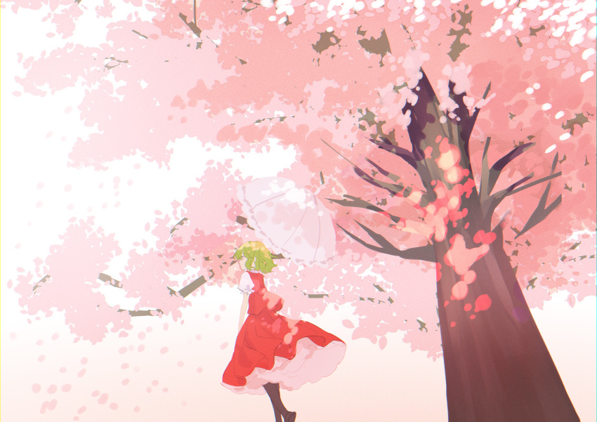 1girl absurdres black_footwear boots cherry_blossoms commentary from_behind green_eyes green_hair highres holding holding_umbrella kanta_(pixiv9296614) kazami_yuuka knee_boots looking_ahead no_mouth parasol puffy_sleeves red_skirt red_vest shirt short_hair skirt solo touhou tree umbrella vest white_shirt wide_shot