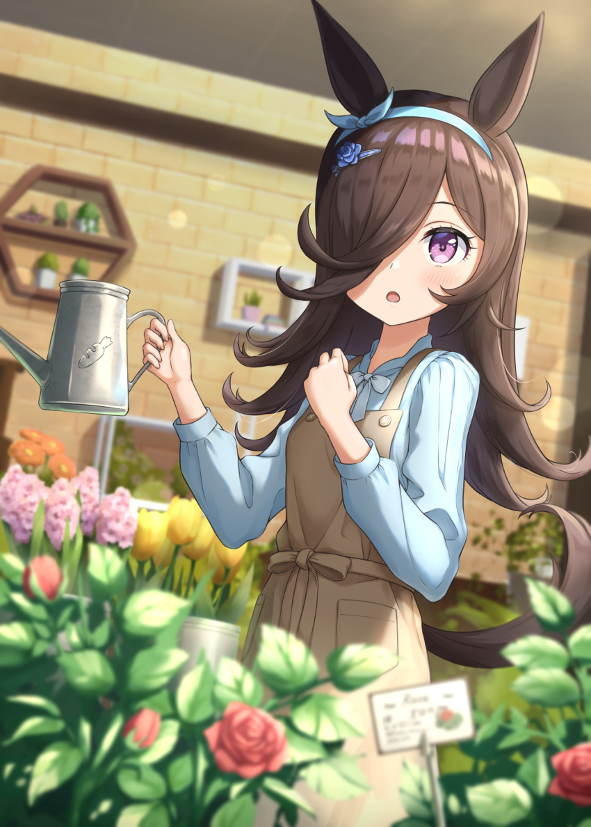 1girl :o animal_ears apron black_hair blouse blue_hairband blue_ribbon blue_shirt blurry blurry_background blurry_foreground blush brown_apron commentary_request darepaso depth_of_field eyelashes flower flower_pot hair_ornament hair_over_one_eye hairband hairclip hands_up highres holding holding_watering_can horse_ears horse_girl horse_tail indoors leaf lens_flare long_hair long_sleeves looking_at_viewer neck_ribbon one_eye_covered open_mouth orange_flower parted_bangs pink_flower plant pocket potted_plant red_flower red_rose ribbon rice_shower_(umamusume) rose shelf shirt sidelocks solo standing swept_bangs tail tulip umamusume violet_eyes watering_can yellow_flower