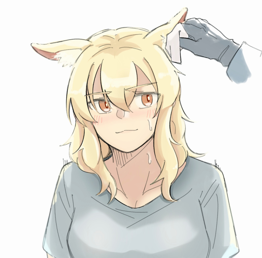 1girl absurdres animal_ear_fluff animal_ears arknights black_gloves blonde_hair blush breasts disembodied_limb ear_cleaning gloves hair_between_eyes highres horse_ears horse_girl long_hair nearl_(arknights) orange_eyes pov pov_hands seung-aeja shirt simple_background solo_focus sweatdrop tissue upper_body white_background