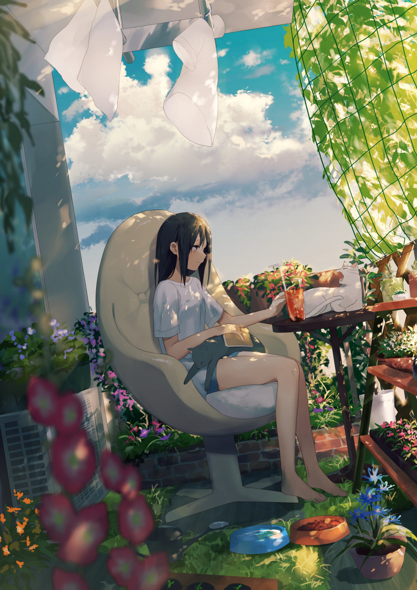 1girl absurdres achiki air_conditioner animal animal_on_lap bare_legs barefoot black_hair blue_flower blue_sky blurry book bowl brick cat cat_on_lap chair closed_mouth clouds cup dappled_sunlight day depth_of_field drink drinking_glass dutch_angle flower flower_pot from_side garden grey_hair headpat highres holding holding_book laundry leaf long_hair looking_away morning_glory net office_chair on_lap open_mouth orange_flower original outdoors pet_bowl pink_flower plant potted_plant purple_flower scenery shelf shirt short_sleeves shorts sitting sky smile solo sunlight swivel_chair t-shirt table tree vines watering_can white_shirt wind yawning