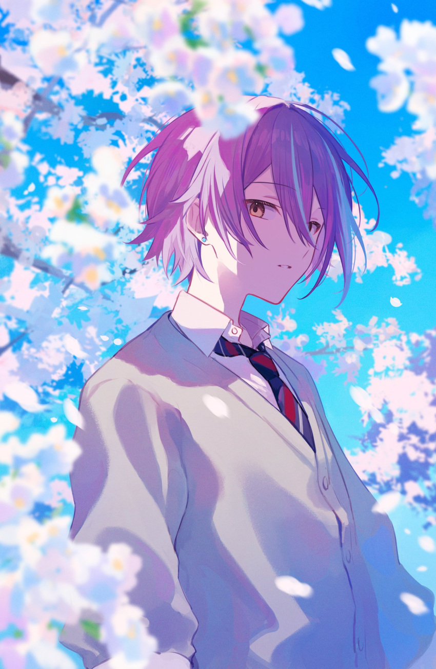 1boy 32_oogawa blue_hair blue_necktie blue_sky blurry blurry_foreground branch brown_eyes buttons cardigan cherry_blossoms collared_shirt commentary_request day depth_of_field diagonal-striped_necktie diagonal_stripes earrings expressionless flower grey_cardigan hair_between_eyes highres jewelry kamishiro_rui kamiyama_high_school_uniform_(project_sekai) long_sleeves looking_at_viewer male_focus multicolored_hair necktie outdoors parted_lips petals pink_flower project_sekai purple_hair school_uniform shirt short_hair sidelocks sky solo streaked_hair striped striped_necktie stud_earrings upper_body white_shirt wing_collar