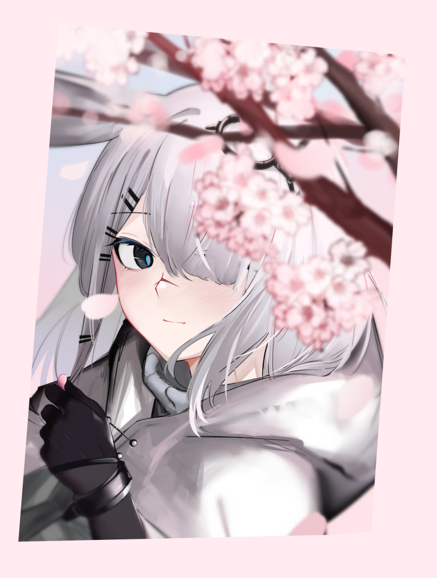 1girl animal_ears ao_oni_(onioni-aoi) arknights black_eyes black_gloves blush cherry_blossoms closed_mouth frostnova_(arknights) gloves grey_hair hair_ornament hair_over_one_eye hairclip highres hood hood_down long_hair looking_at_viewer petals rabbit_ears scar scar_on_face scar_on_nose smile solo upper_body