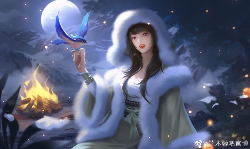 1girl absurdres artist_request bird brown_hair duanmu_rong_(qin_shi_ming_yue) fire fur_coat highres looking_up moon mountain night open_mouth outdoors qin_shi_ming_yue sash second-party_source sitting snow solo teeth upper_body upper_teeth_only violet_eyes