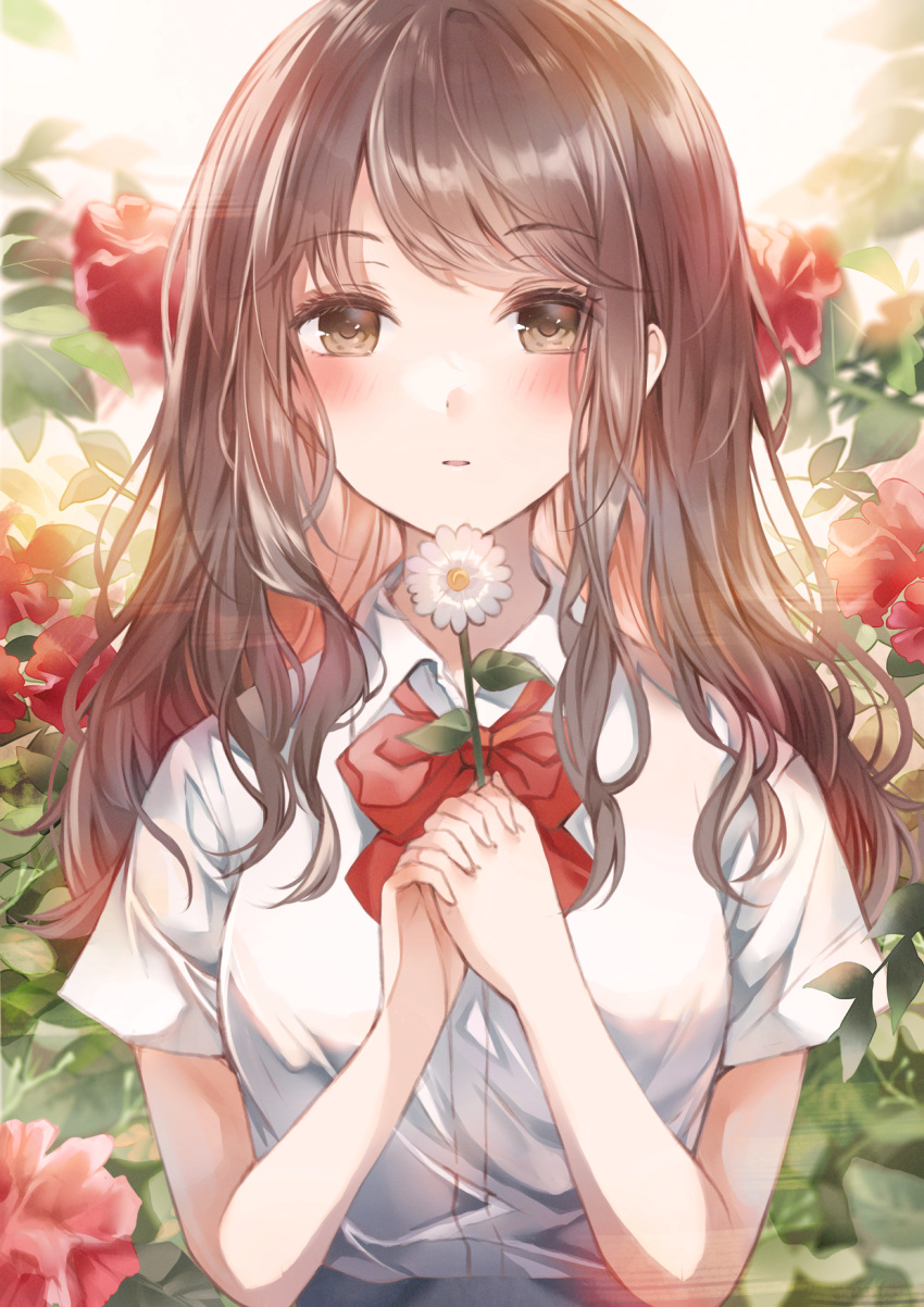 1girl blush bow bowtie brown_eyes brown_hair collared_shirt commentary_request flower highres holding holding_flower long_hair looking_at_viewer namamake original parted_lips red_bow red_bowtie red_flower red_rose rose school_uniform shirt short_sleeves solo summer_uniform sunflower swept_bangs upper_body white_shirt