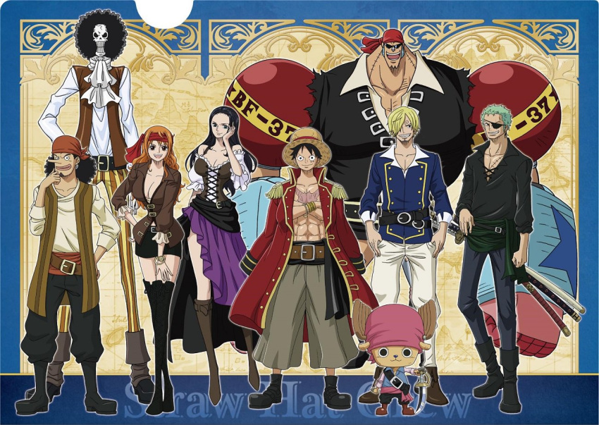 brook_(one_piece) franky_(one_piece) monkey_d._luffy nami_(one_piece) nico_robin non-web_source one_piece roronoa_zoro sanji_(one_piece) tony_tony_chopper usopp