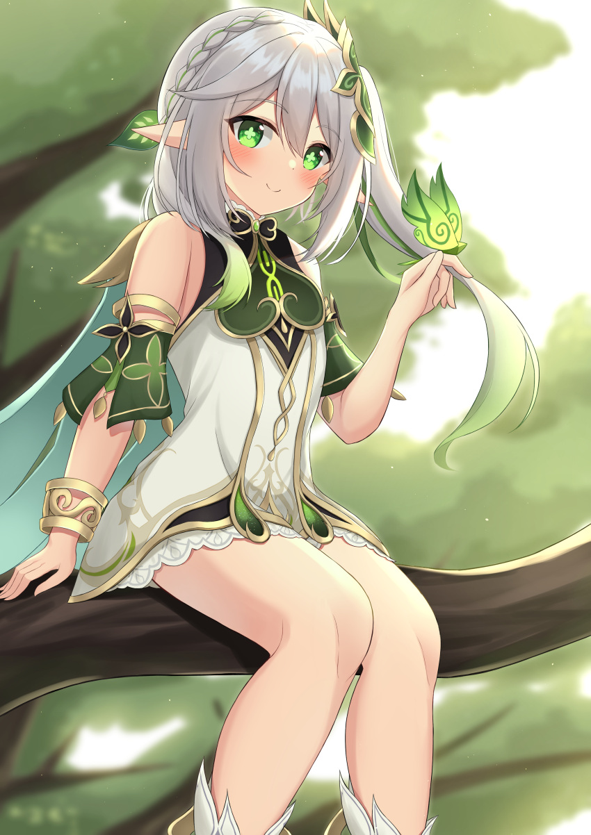 1girl absurdres bare_legs blush bug butterfly butterfly_on_hand cape closed_mouth cross-shaped_pupils day dress female_child genshin_impact gradient_hair green_butterfly green_cape green_eyes green_sleeves grey_hair hair_ornament highres in_tree leaf_hair_ornament long_hair looking_at_viewer multicolored_hair nahida_(genshin_impact) outdoors pointy_ears side_ponytail sitting sitting_in_tree smile solo stirrup_footwear symbol-shaped_pupils tree white_dress yuzuri_amane