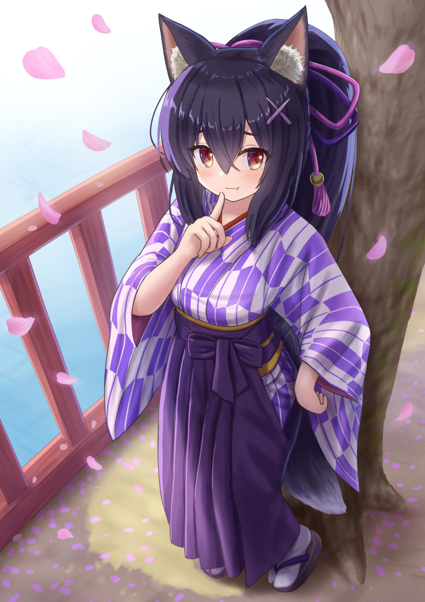 1girl absurdres animal_ear_fluff animal_ears black_footwear black_hair blush brown_eyes cherry_blossoms closed_mouth commentary_request day fang fang_out finger_to_mouth full_body hair_ornament hairclip hakama hakama_skirt hand_up highres hip_vent iroha_(iroha_matsurika) japanese_clothes kimono kunoichi-chan_(iroha_(iroha_matsurika)) long_hair long_sleeves obi original outdoors petals ponytail print_kimono purple_hakama railing sash skirt smile socks solo standing tabi tail tree water white_socks wide_sleeves wolf_ears wolf_girl wolf_tail x_hair_ornament yagasuri zouri