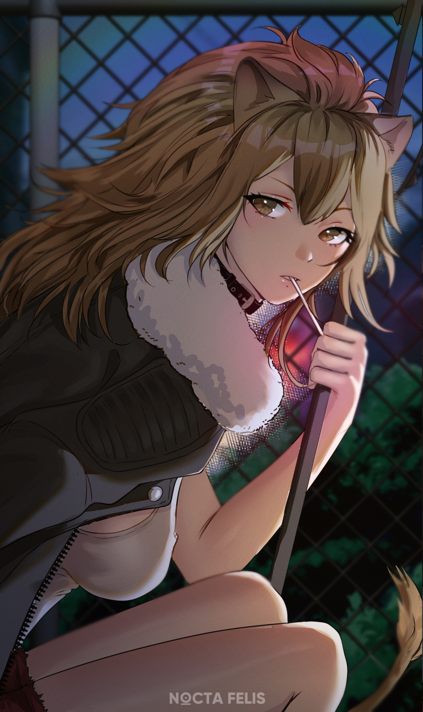 1girl animal_ears arknights black_jacket blonde_hair breasts candy choker collar food fur-trimmed_jacket fur-trimmed_shorts fur_trim hair_between_eyes highres ivana_anemon jacket large_breasts lion_ears lion_girl lion_tail lollipop long_hair looking_at_viewer red_shorts shorts siege_(arknights) solo studded_choker studded_collar tail tank_top white_tank_top