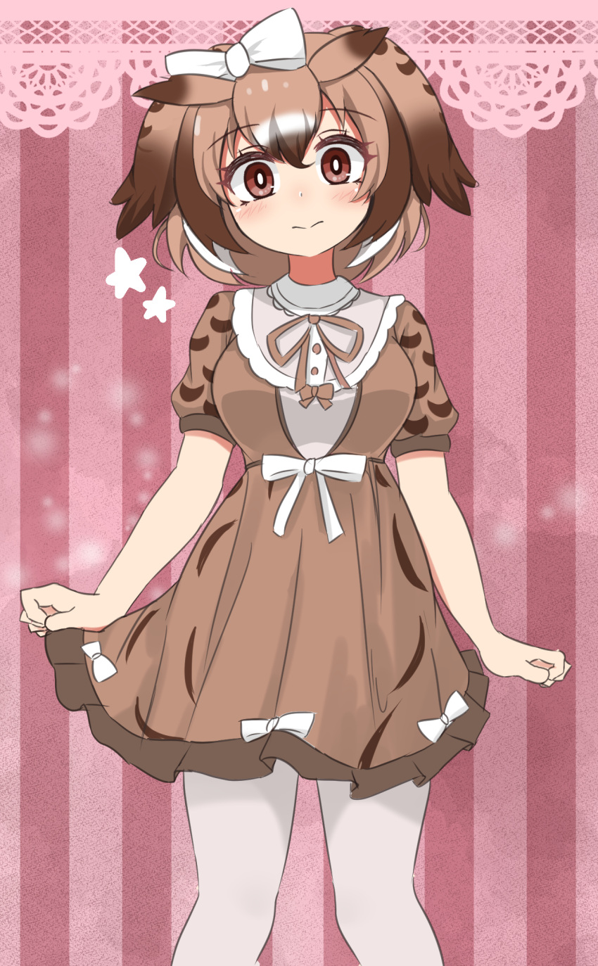 1girl alternate_costume bow brown_dress brown_eyes brown_hair commentary_request cowboy_shot dress eurasian_eagle_owl_(kemono_friends) hair_bow head_wings highres kemono_friends looking_at_viewer multicolored_hair pantyhose pink_background shimosazami skirt_hold solo striped striped_background two-tone_hair white_pantyhose