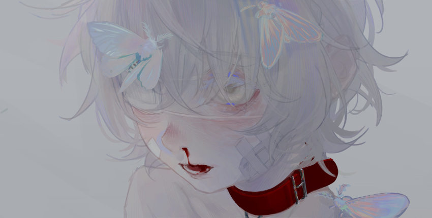 1girl absurdres bandaid bandaid_on_face bare_shoulders blood bug cicada close-up collar eyepatch grey_background highres li_xueyao medical_eyepatch moth nosebleed open_mouth original red_collar short_hair simple_background sketch solo teeth white_eyes white_hair