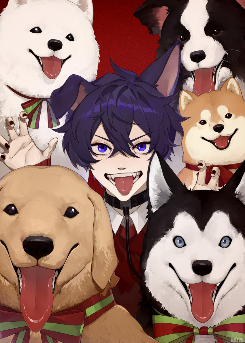 1boy :p animal_ears baizejintian black_nails claw_pose dog dog_boy dog_ears highres husky indie_virtual_youtuber long_sleeves looking_at_viewer male_focus open_mouth purple_hair shiba_inu short_hair shoto_(vtuber) tongue tongue_out violet_eyes virtual_youtuber