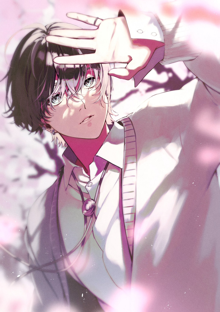 1boy arm_up bishounen blurry blurry_background cardigan cherry_blossoms collared_shirt day ear_piercing earrings highres ikeshi000 jewelry light_particles light_rays long_sleeves male_focus open_cardigan open_clothes original outdoors outstretched_hand piercing pink_cardigan ring school_uniform shirt short_hair solo sparkle stud_earrings upper_body white_shirt