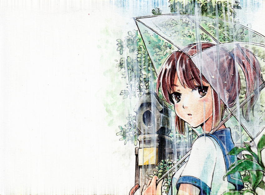 1girl brown_eyes brown_hair highres holding leaf looking_at_viewer outdoors parted_lips plant ponytail rain rain_(shiro_to_kuro_no_alice) school_uniform see-through shiro_to_kuro_no_alice shirt short_sleeves simple_background siriuflong solo umbrella upper_body v-shaped_eyebrows white_background white_shirt