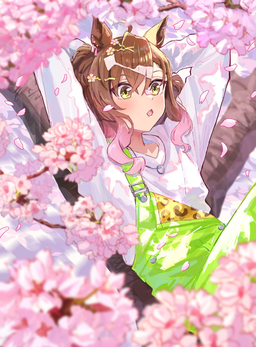 1girl absurdres ahoge animal_ears arms_behind_head blurry blurry_foreground blush brown_hair cherry_blossoms gradient_hair hair_between_eyes hair_ornament hairclip highres horse_ears in_tree jewelry jungle_pocket_(umamusume) long_sleeves medium_hair multicolored_hair nayuta_ggg necklace open_mouth overalls petals ring_necklace shirt sitting sitting_in_tree solo tree umamusume upper_body white_shirt yellow_eyes