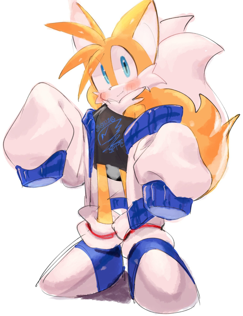 1boy blue_eyes blush closed_mouth fox_boy full_body furry furry_male highres jacket looking_at_viewer male_focus oversized_clothes shoes simple_background sleeves_past_fingers sleeves_past_wrists solo sonic_(series) tail tails_(sonic) usa37107692 white_background white_jacket
