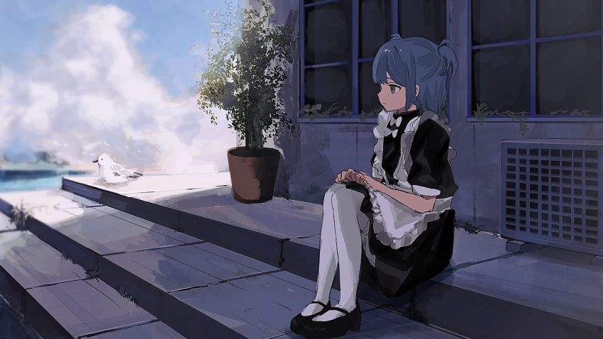 1girl air_conditioner apron bird black_footwear black_ribbon blue_hair closed_mouth clouds cloudy_sky commentary expressionless frilled_apron frills grey_eyes hair_ribbon hands_on_own_knees highres looking_afar maid_apron mary_janes original outdoors plant potted_plant ribbon shoes short_hair shou_(mori_boro) sitting sitting_on_stairs sky socks solo stairs symbol-only_commentary two_side_up white_apron white_socks wide_shot window