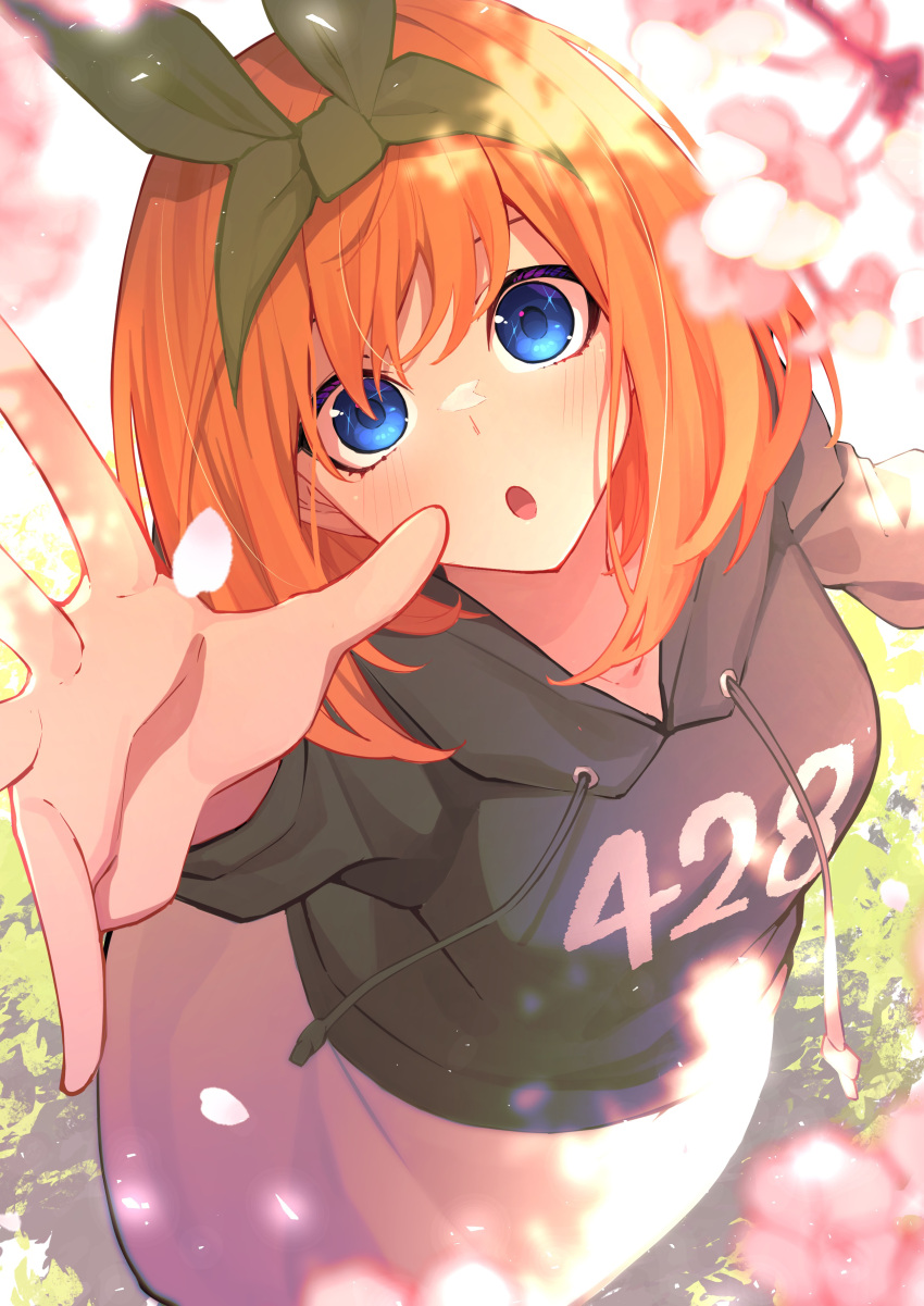 1girl :o absurdres black_hoodie blue_eyes blurry blush cherry_blossoms clothes_writing commentary dappled_sunlight depth_of_field eyebrows_hidden_by_hair falling_petals foreshortening from_above go-toubun_no_hanayome green_hairband green_ribbon hair_between_eyes hair_ribbon hairband highres hood hood_down hoodie light_particles long_sleeves looking_at_viewer medium_hair nakano_yotsuba open_hand open_mouth orange_hair petal_on_face petals reaching_towards_viewer ribbon solo sparkling_eyes straight_hair sunlight tamago_sando wide-eyed
