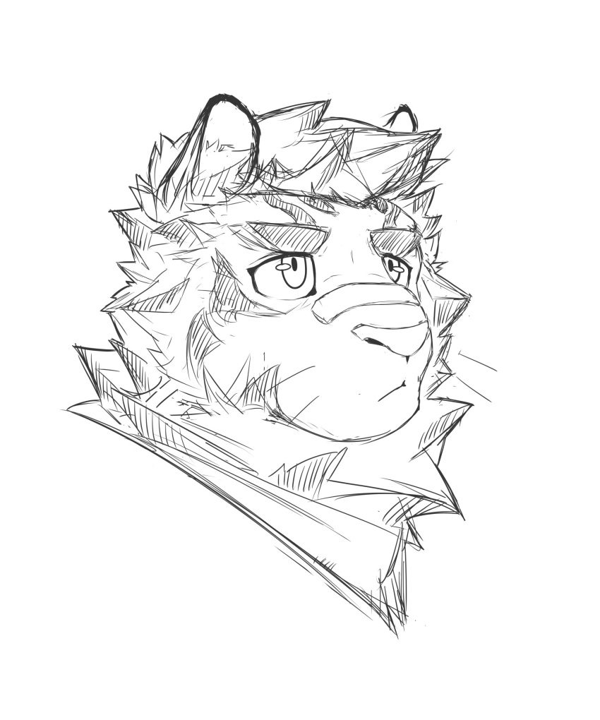 1boy aged_down animal_ears arknights artist_request bandaid bandaid_on_face bandaid_on_nose cropped_shoulders facial_hair furry furry_male goatee greyscale highres looking_up male_focus monochrome mountain_(arknights) short_hair sketch solo thick_eyebrows tiger_boy tiger_ears white_hair