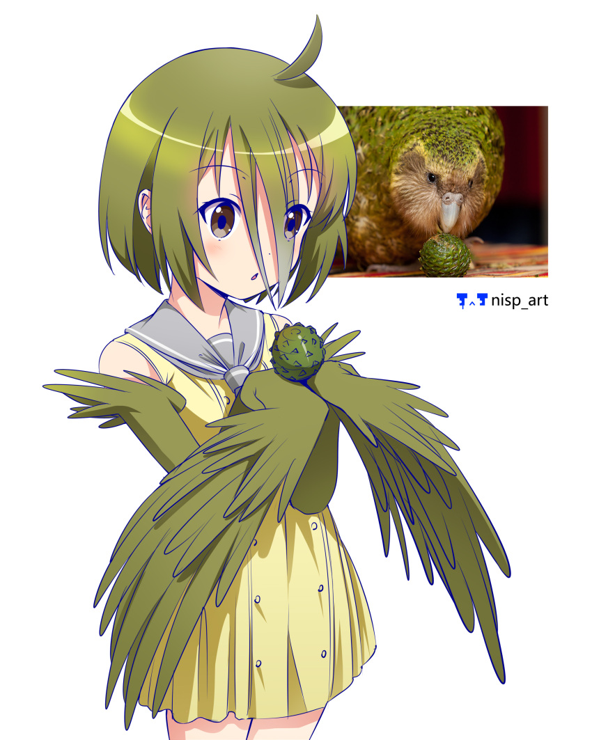 1girl absurdres artist_logo artist_name bird blush brown_eyes chestnut_mouth commentary_request cowboy_shot cowlick dress green_hair grey_neckerchief grey_sailor_collar hair_between_eyes harpy highres humanization kakapo looking_at_object looking_down medium_hair monster_girl neckerchief nisp_art original parted_lips pinecone reference_inset russian_commentary sailor_collar simple_background sleeveless sleeveless_dress solo white_background winged_arms wings wispy_bangs yellow_dress