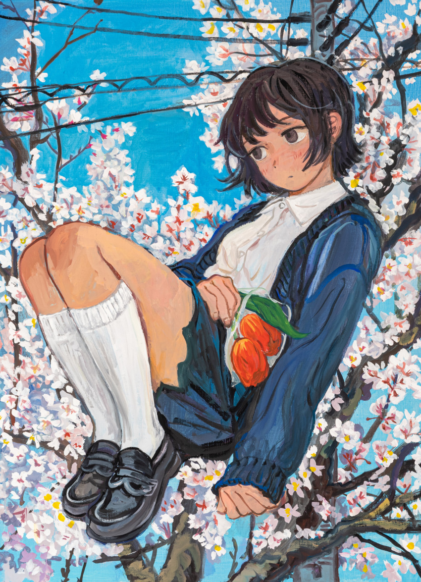 1girl absurdres arm_at_side black_eyes black_hair blue_jacket blue_skirt branch buttons cherry_blossoms closed_mouth collared_shirt commentary expressionless floating flower full_body hand_on_own_stomach head_tilt highres holding holding_flower jacket kneehighs knees_up light_blush loafers long_sleeves minahamu open_clothes open_jacket orange_flower original pleated_skirt power_lines shirt shoes short_hair sideways_glance skirt socks solo tree utility_pole white_shirt white_socks