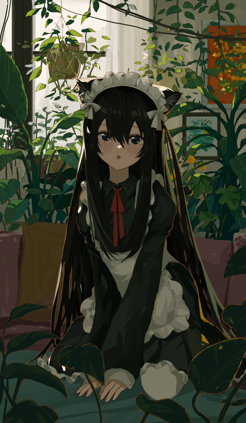 1girl :o absurdres animal_ear_fluff animal_ears apron between_legs black_dress black_eyes black_hair blush breasts cat_ears cat_girl collared_dress commentary dress english_commentary frilled_apron frilled_dress frills hair_between_eyes hand_between_legs highres kgt_(pixiv12957613) long_hair long_sleeves looking_at_viewer maid_apron maid_headdress neck_ribbon open_mouth original painting_(object) plant potted_plant red_ribbon revision ribbon sidelocks sitting small_breasts solo thigh-highs very_long_hair waist_apron wariza white_apron white_thighhighs window