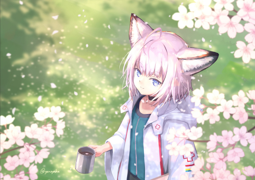 1girl ahoge animal_ears arknights black_choker blue_eyes blue_vest cherry_blossoms choker coat coffee_mug collarbone commentary cup falling_petals fox_ears fox_girl from_above genjaku highres holding holding_cup labcoat long_sleeves looking_at_viewer mug outdoors petals purple_hair short_hair sidelocks smile solo sussurro_(arknights) upper_body vest white_coat wide_sleeves