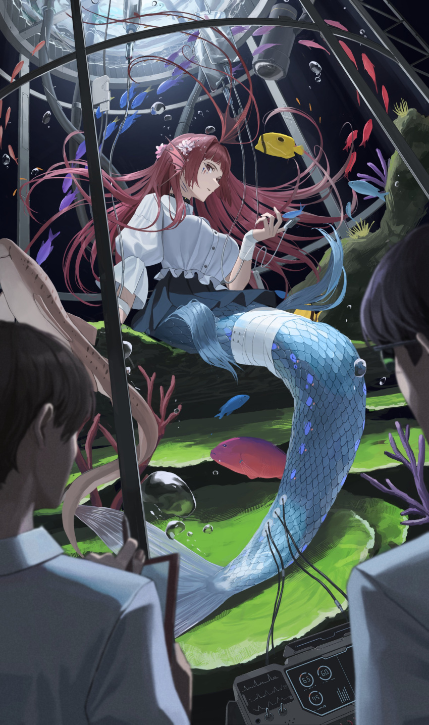 1girl 2boys absurdres air_bubble bandaged_arm bandaged_tail bandages black_skirt breasts brown_hair bubble clipboard commentary_request electrodes fins fish glasses head_fins highres holding holding_clipboard intravenous_drip large_breasts long_hair long_sleeves mermaid monster_girl multiple_boys original pulse_oximeter red_eyes redhead saba-kann_(kannsaba) scales shirt skirt solo_focus stasis_tank underwater white_shirt