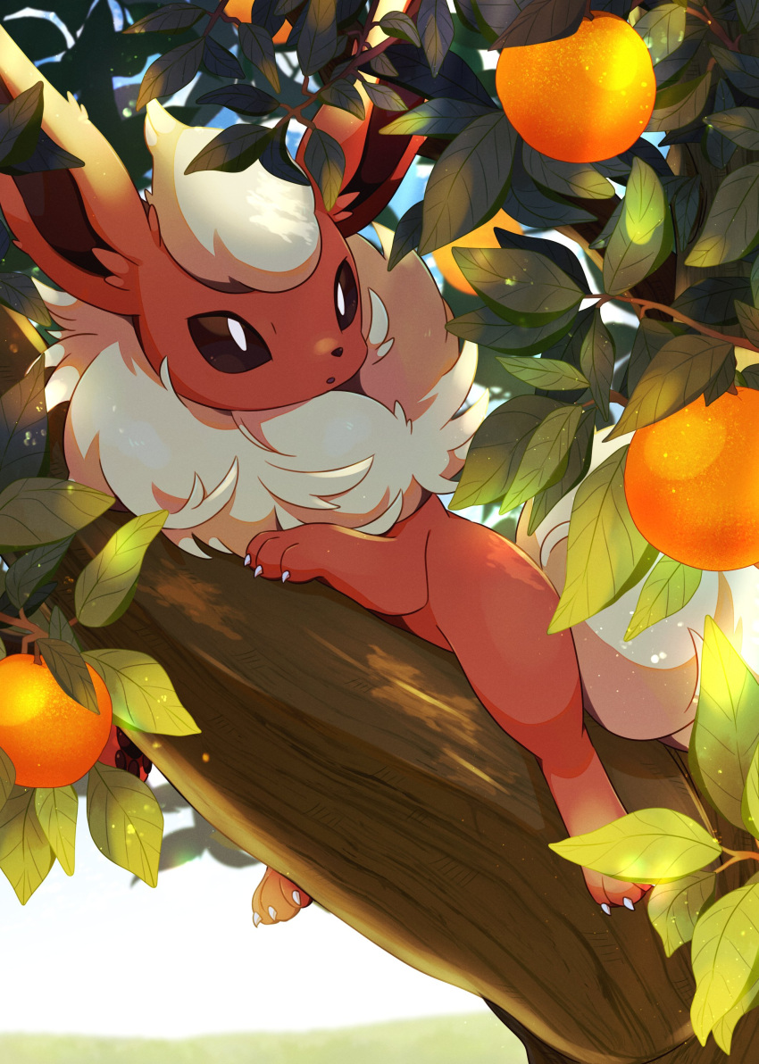 absurdres flareon food fruit highres in_tree ktyon3 leaf no_humans outdoors pokemon pokemon_(creature) sitting sitting_in_tree solo tree