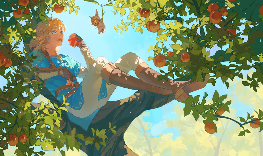 1boy 7pzhxtsy apple blue_eyes blue_sky blue_tunic boots brown_pants earrings eating fingerless_gloves food fruit gauntlets gloves highres holding holding_food holding_fruit in_tree jewelry korok leather leather_boots light_brown_hair link pants pointy_ears short_hair sidelocks sitting sitting_in_tree sky smile the_legend_of_zelda the_legend_of_zelda:_breath_of_the_wild tree