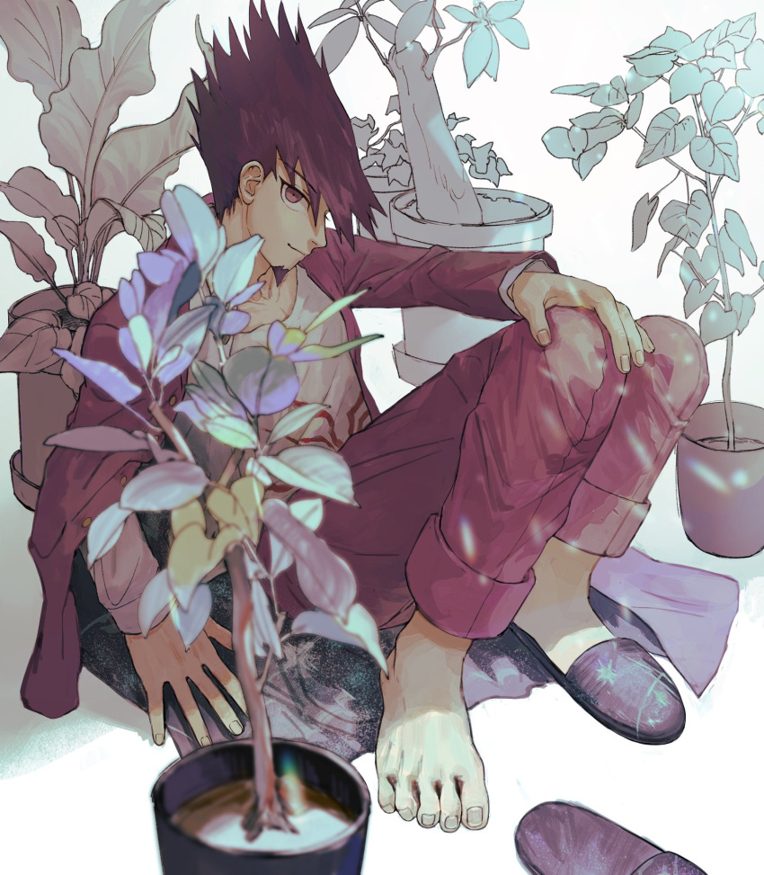 1boy blue_flower closed_mouth danganronpa_(series) danganronpa_v3:_killing_harmony facial_hair flower goatee highres jacket knees_up long_sleeves looking_at_viewer male_focus momota_kaito nasubinonono open_clothes open_jacket open_shirt pants pink_eyes pink_jacket pink_pants plant potted_plant print_shirt shirt shoes single_barefoot sitting smile solo space_print spiky_hair starry_sky_print white_background