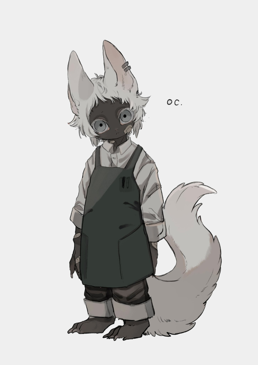 1boy 50_ior :&lt; animal_ears apron arms_at_sides bandaid bandaid_on_cheek bandaid_on_face bandaid_on_hand barefoot black_pants black_skin closed_mouth collared_shirt colored_skin commentary curious dress_shirt earclip english_commentary fingernails fox_boy fox_ears fox_tail green_apron head_tilt highres long_arms long_fingernails long_sleeves long_toenails looking_at_viewer male_focus original pants pants_rolled_up shirt short_hair simple_background sleeves_rolled_up snout solo standing tail toenails white_background white_hair wide-eyed