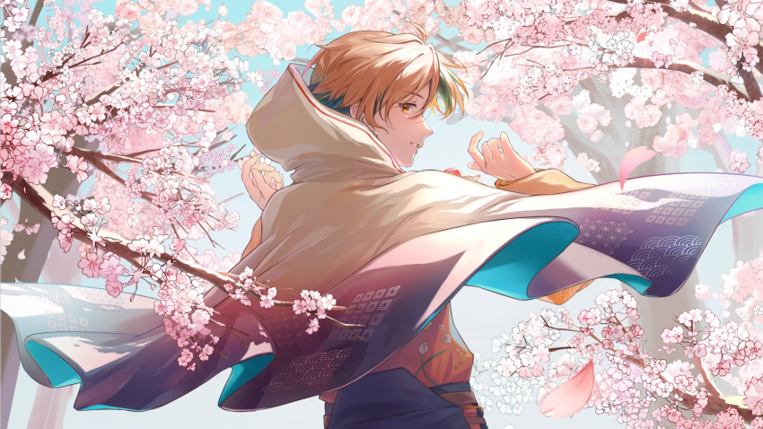 1boy asa_no_ha_(pattern) black_hair black_hakama cape cherry_blossoms day earrings floral_print flower gradient_clothes hair_between_eyes hakama hands_up highres holostars hood hood_up hooded_cape japanese_clothes jewelry kimono looking_at_viewer looking_back male_focus multicolored_hair n@o_(nao) official_alternate_costume orange_eyes orange_hair orange_kimono parted_lips pink_flower profile seigaiha short_hair smile solo streaked_hair tree upper_body virtual_youtuber white_cape yukoku_roberu