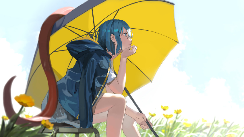 1girl alternate_costume arm_support blue_jacket blue_sky closed_mouth commentary expressionless feet_out_of_frame flower from_side grass hand_on_own_chin highres holding holding_umbrella hood hooded_jacket jacket jacket_on_shoulders karakasa_obake leaning_forward outdoors profile shirt short_hair sitting sky solo t-shirt tatara_kogasa teasmacker touhou umbrella white_shirt