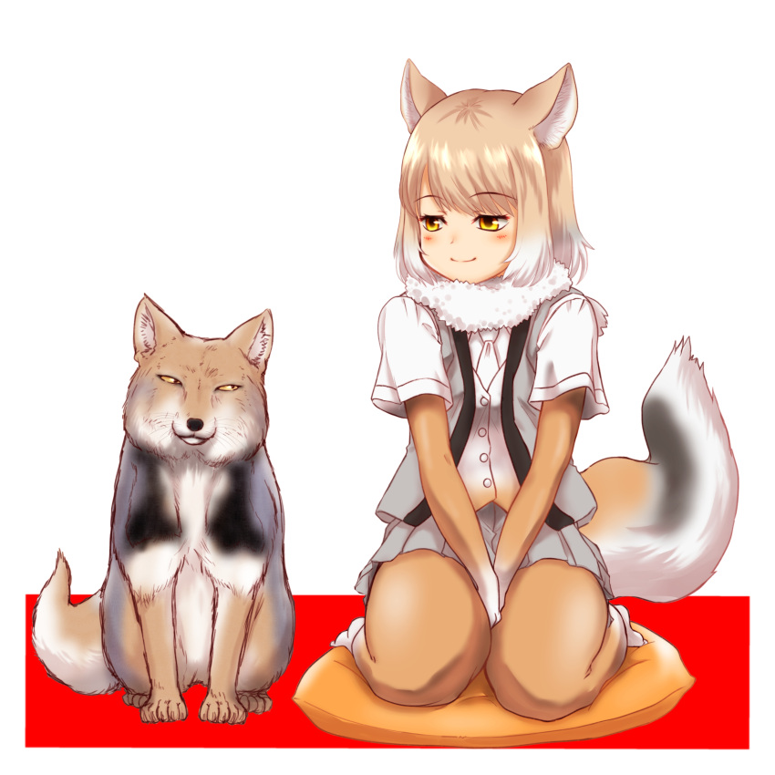 1girl absurdres animal animal_ears between_legs blush bodystocking brown_hair buttons closed_mouth creature_and_personification fox fox_ears fox_girl fox_tail full_body fur_collar hakumaiya hand_between_legs highres kemono_friends layered_sleeves light_brown_hair long_sleeves looking_at_viewer medium_hair microskirt multicolored_hair necktie open_clothes open_vest own_hands_together parted_bangs pillow pleated_skirt seiza shirt short_over_long_sleeves short_sleeves sitting skirt smile tail tibetan_fox_(kemono_friends) tibetan_sand_fox v_arms vest white_hair yellow_eyes