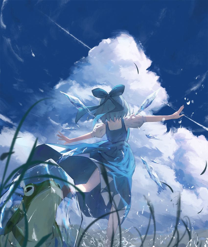 1girl absurdres blue_bow blue_dress blue_hair bow cirno clouds cumulonimbus_cloud day detached_wings dress foot_out_of_frame frog from_behind from_below frozen_frog grass gu0st hair_bow highres ice ice_wings puffy_short_sleeves puffy_sleeves shirt short_hair short_sleeves sky solo standing standing_on_one_leg touhou water white_shirt wings