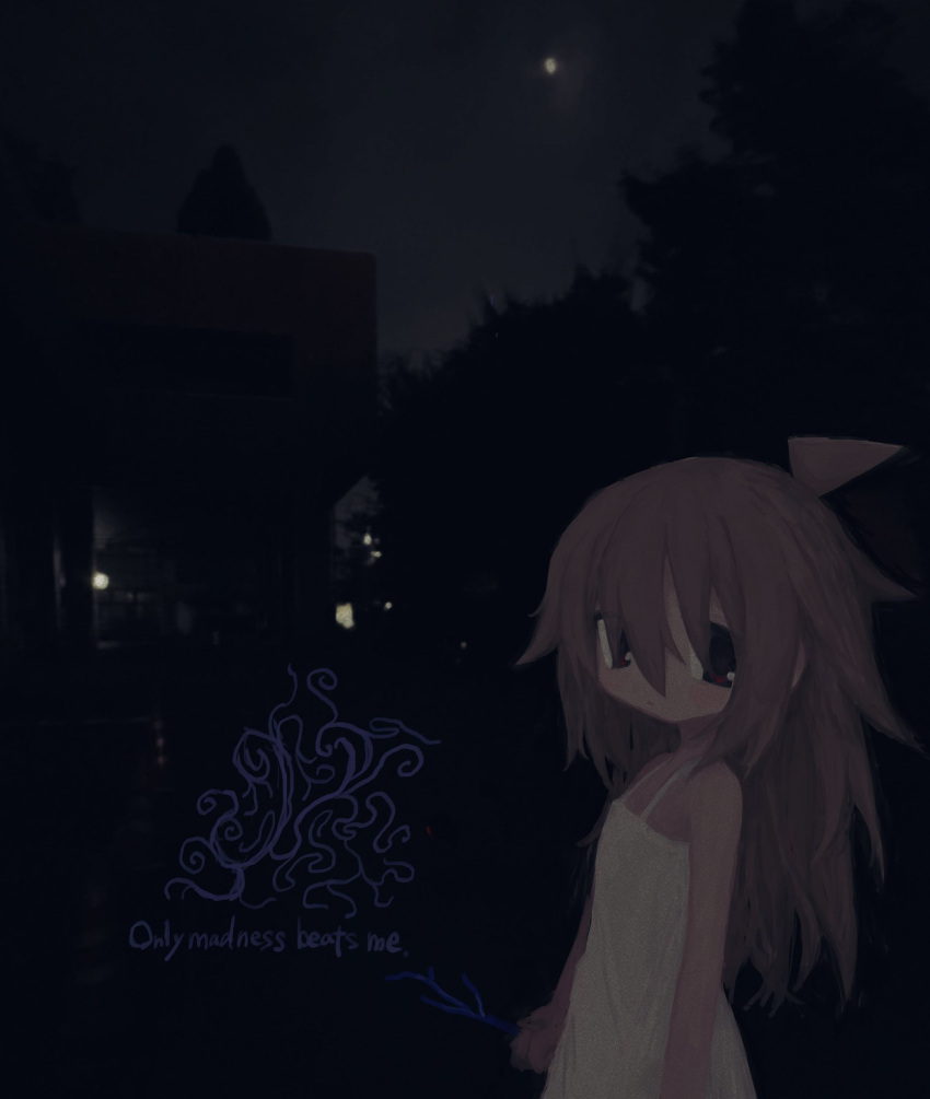 1girl branch brown_hair closed_mouth dark dress english_text hair_between_eyes highres holding holding_branch long_hair looking_at_viewer night original outdoors photo_background red_eyes reitoubeef sleeveless sleeveless_dress solo white_dress