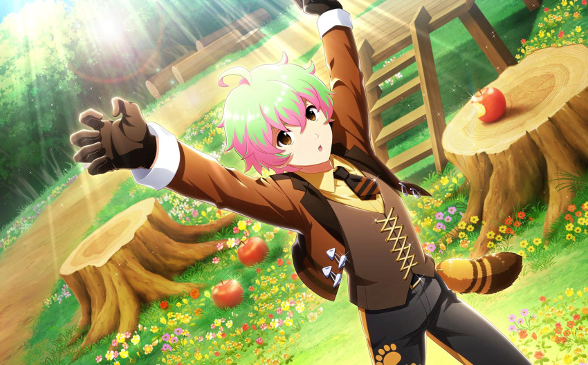 1boy ahoge apple brown_eyes flower food fruit green_hair hair_between_eyes highres idolmaster idolmaster_side-m idolmaster_side-m_live_on_stage! log long_sleeves male_focus multicolored_hair necktie nekoyanagi_kirio official_art paw_print pink_hair tree_stump