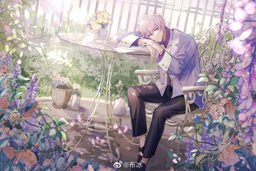 1boy allis-well artist_name black_footwear black_pants bloom bracelet bush buttons chair closed_mouth collared_shirt commentary day dream_mansion fence flower flower_pot flower_request hair_between_eyes highres jacket jewelry lapels leaf light_purple_hair long_sleeves looking_at_viewer male_focus min_heng open_clothes open_jacket outdoors pants pink_flower pink_rose plant potted_plant purple_flower purple_jacket purple_shirt red_eyes rose shirt shoes short_hair sitting solo sunlight symbol-only_commentary table vase weibo_logo weibo_username white_flower wisteria