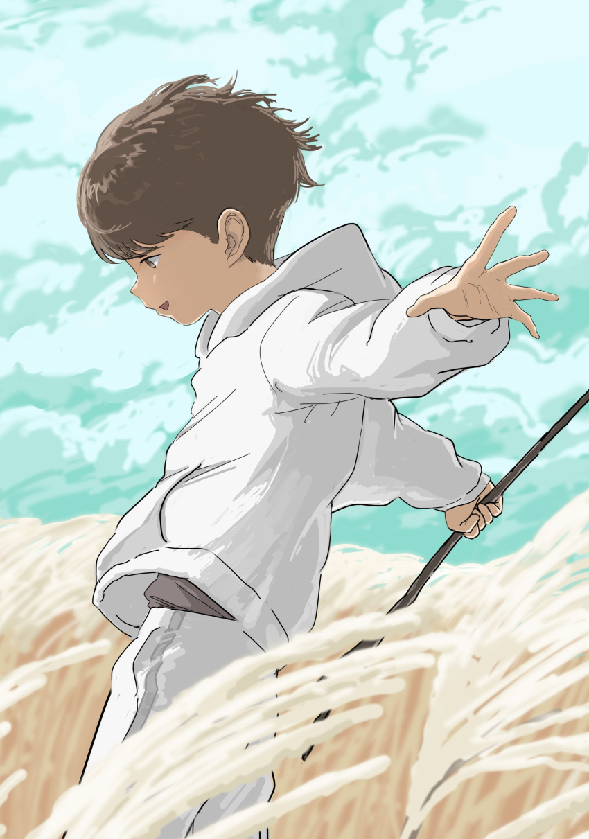 1boy absurdres blue_sky blurry blurry_background blurry_foreground brown_hair child clouds cloudy_sky highres hikae25671345 holding hood hoodie long_sleeves male_child male_focus open_mouth original outdoors outstretched_arms scenery sky solo wheat_field white_hoodie wind