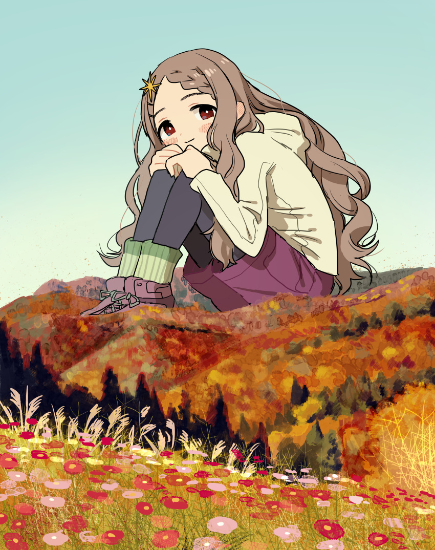1girl absurdres aoba_kokona autumn_leaves black_leggings blue_sky blush boots braid braided_bangs bright_pupils brown_hair closed_mouth commentary day ear_blush field flower flower_field full_body giant giantess hair_ornament hairclip hands_on_own_knees head_on_knees highres hill hood hood_down hooded_jacket jacket knees_up leg_warmers leggings leggings_under_shorts long_hair long_sleeves looking_at_viewer outdoors parted_bangs pink_shorts red_eyes scenery shorts sidelocks sitting sky smile solo star_(symbol) star_hair_ornament susuki_grass tareme tree very_long_hair wavy_hair white_jacket white_pupils wide_shot yama_no_susume zinbei