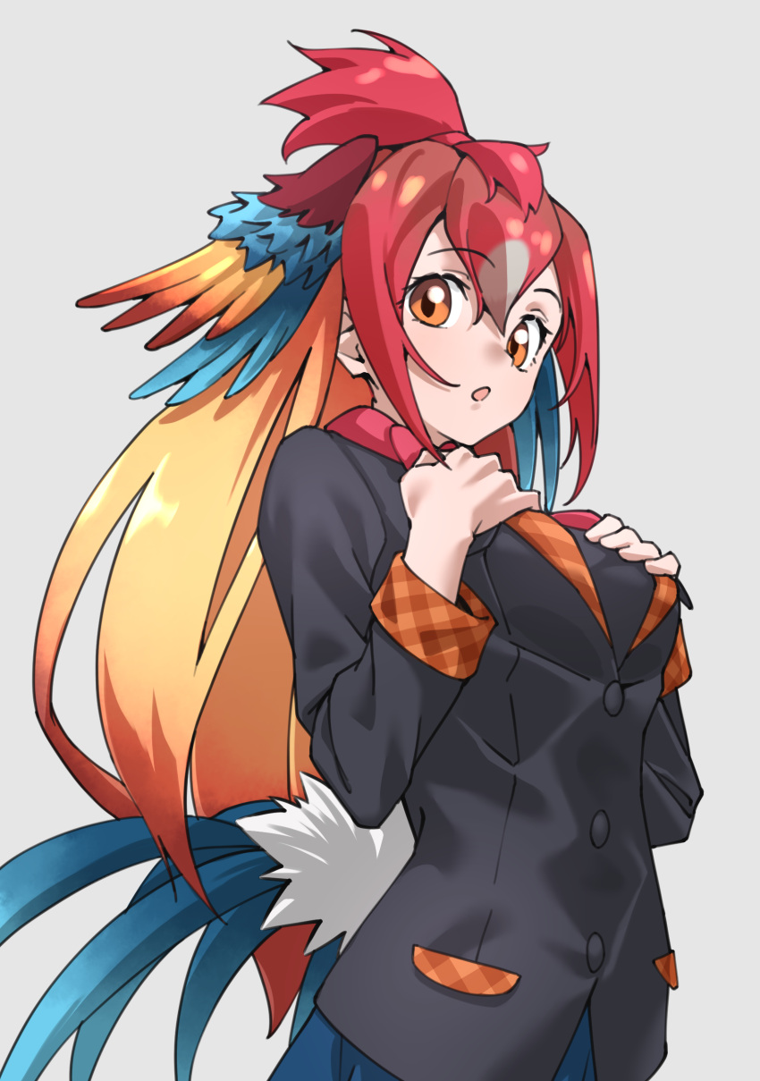 1girl :o absurdres bird_girl bird_tail bird_wings black_jacket blue_hair blue_skirt commentary grey_background hair_between_eyes hands_on_own_chest head_wings highres jacket kemono_friends long_hair long_sleeves orange_eyes orange_hair plaid_trim pleated_skirt red_junglefowl_(kemono_friends) redhead sidelocks simple_background skirt solo tail tanabe_(fueisei) wings